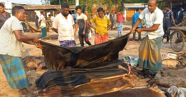 যশোরের চামড়ার বাজার